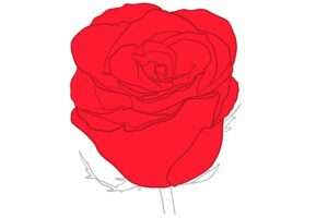 Free Rose Coloring Pages