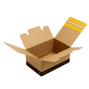 Custom Economy Mailer Boxes